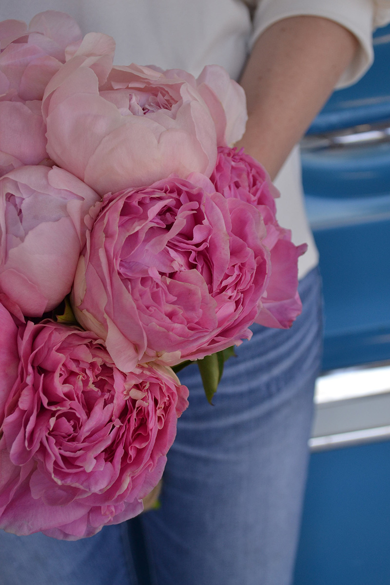 Woman holding bouquet of pink and light pink peonies
