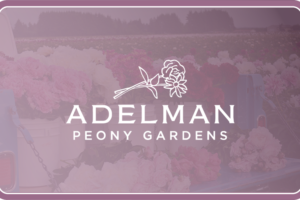 Adelman Peony Gardens Gift card with logo and peonies in background with purple overlay