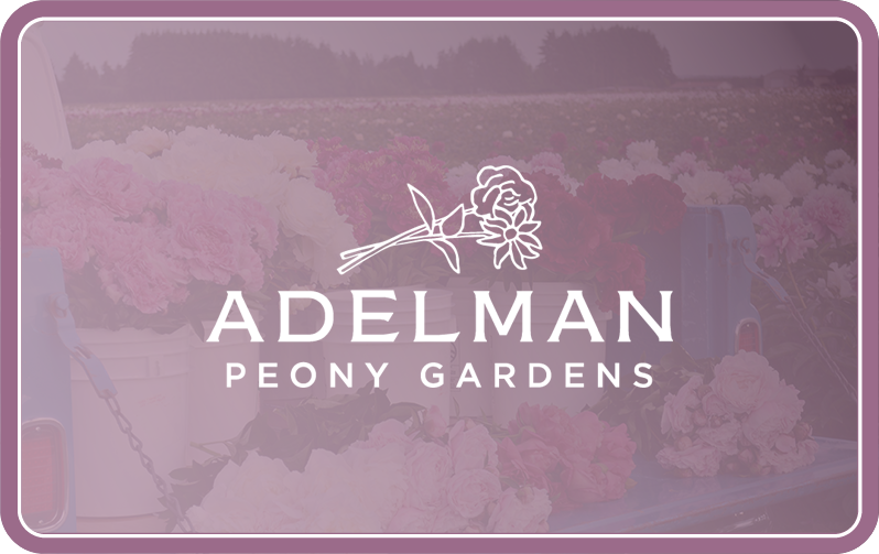 Adelman Peony Gardens Gift card with logo and peonies in background with purple overlay